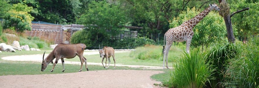 parc zoologique